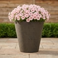 thumbnail image 2 of Algreen Crete Planer, Self-Watering Planter, 20.5-In. Height by 20-In., Concrete Texture, Brownstone, 2 of 4