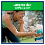 Salonpas Pain Relieving Hot Capsicum Patch