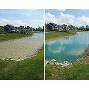 Crystal Plex 1 Gal. Liquid 1-Acre Coverage Area Algae Control Step 3 Gallon