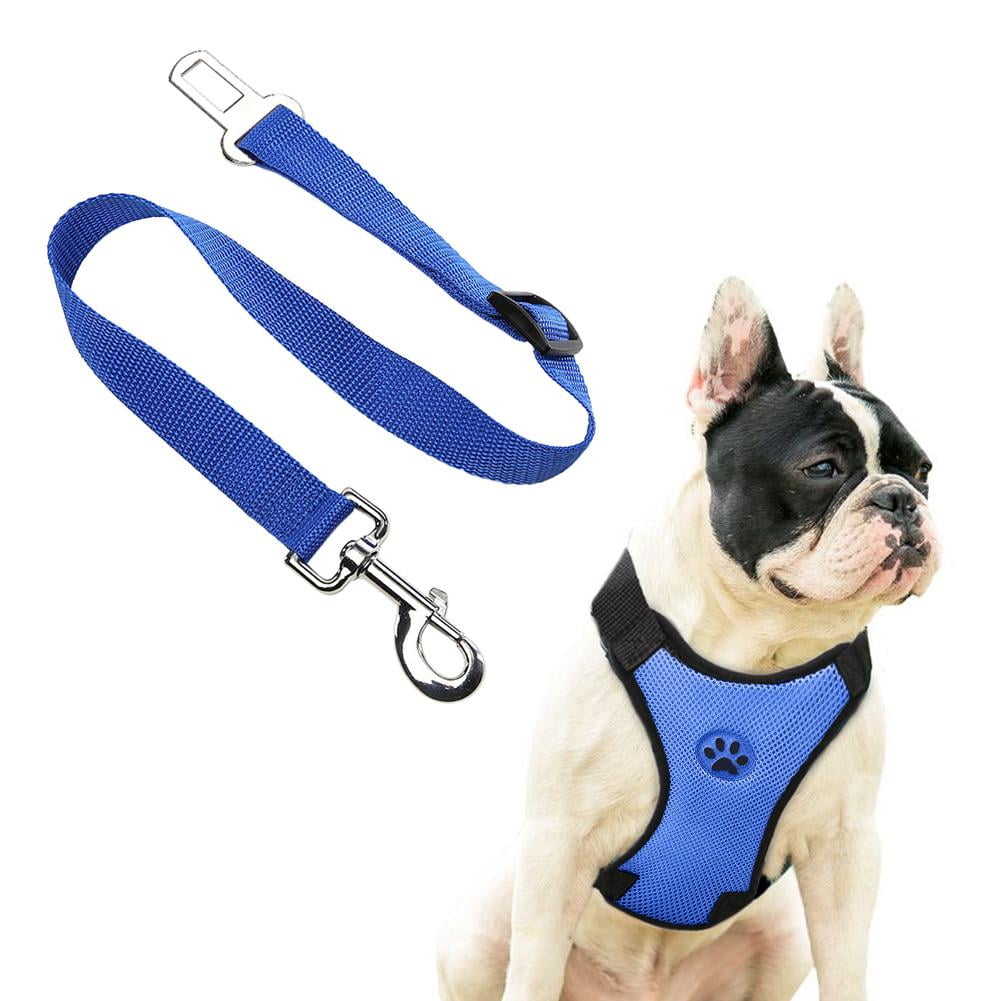 dog car harness walmart