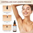 thumbnail image 4 of Aceite de Cyperus rotundus Lakerain Ingredientes naturales Aceite de Cyperus rotundus 60 ml, 4 of 7