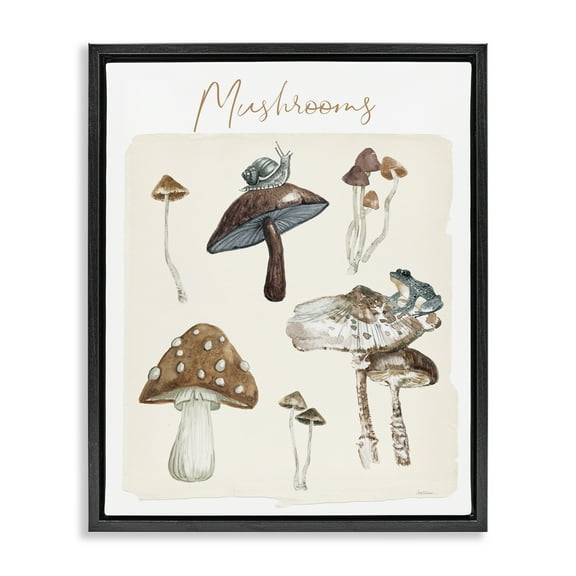 Stupell Industries Assorted Mushrooms Study Botanical & Floral Painting Black Floater Framed Art Print Wall Art, 17 x 21