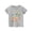 Grey, variant on Gyujnb Kids Boys T Shirt with "God Says I Am" Watercolor Dinosaur Print Short Sleeve Crew Neck Casual Cotton Top,3-4 Years