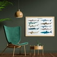 thumbnail image 2 of Shark Wall Art with Frame, Types of Sharks Pattern Whaler Piked Dogfish Whlae Shark Maritime Design Nautical, Printed Fabric Poster for Bathroom Living Room, 35" x 23", Multicolor, by Ambesonne, 2 of 2