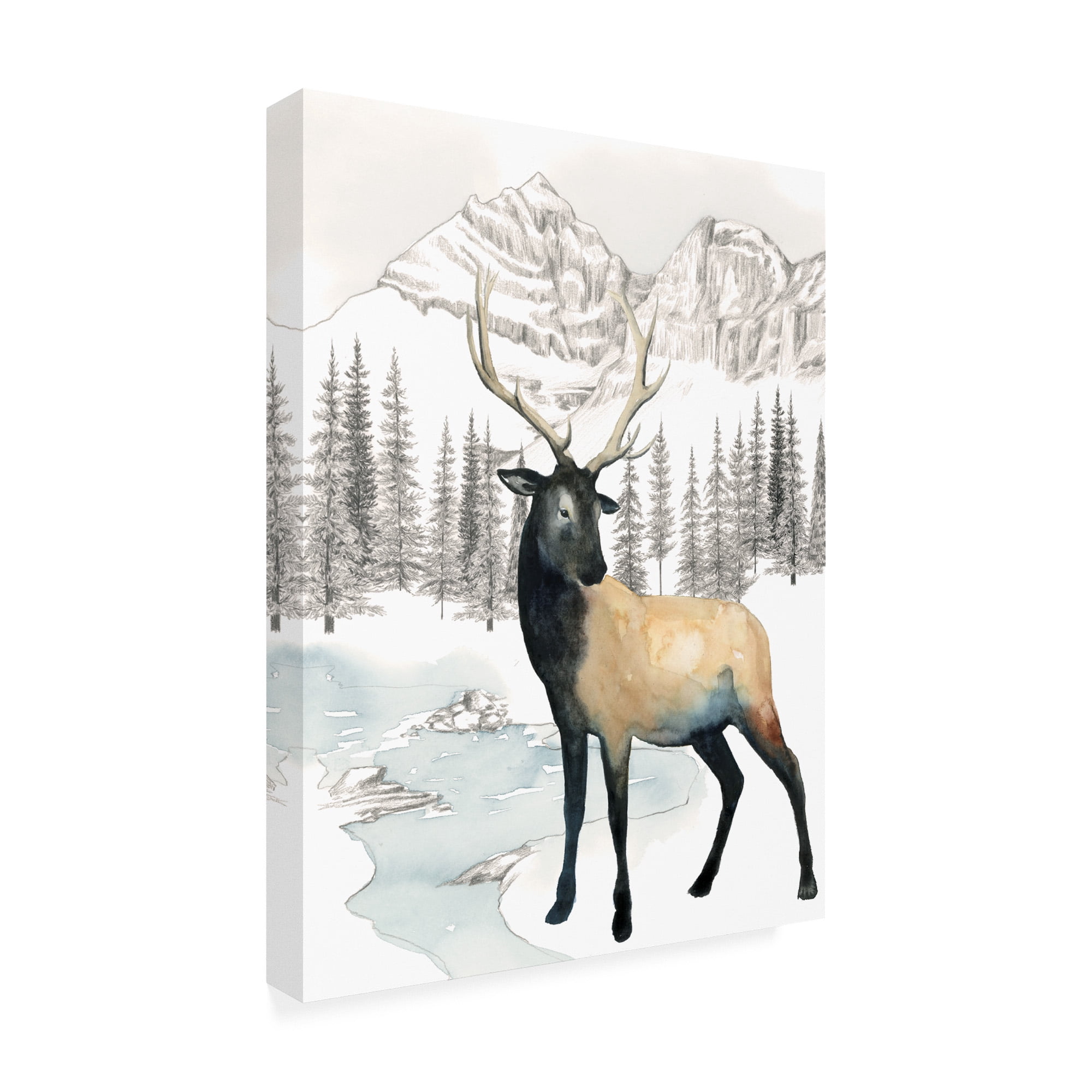 Trademark Fine Art 'Winter Elk I' Canvas Art by Grace Popp