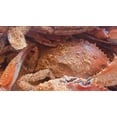 thumbnail image 5 of J.O. No. 2 Crab House Spice, 5 of 5