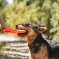thumbnail image 4 of Juguete para Perro Chuckit! Rugged Flyer Grande, 4 of 9