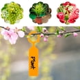 thumbnail image 3 of CNKOO Garden Hanging Plant Tag Label Reusable Plastic Seed Name Card Marker Sign, 3 of 6