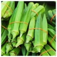 thumbnail image 2 of Everwilde Farms - 1 oz Organic Clemson Spineless Okra Seeds - Gold Vault Bulk Seed Packet, 2 of 3