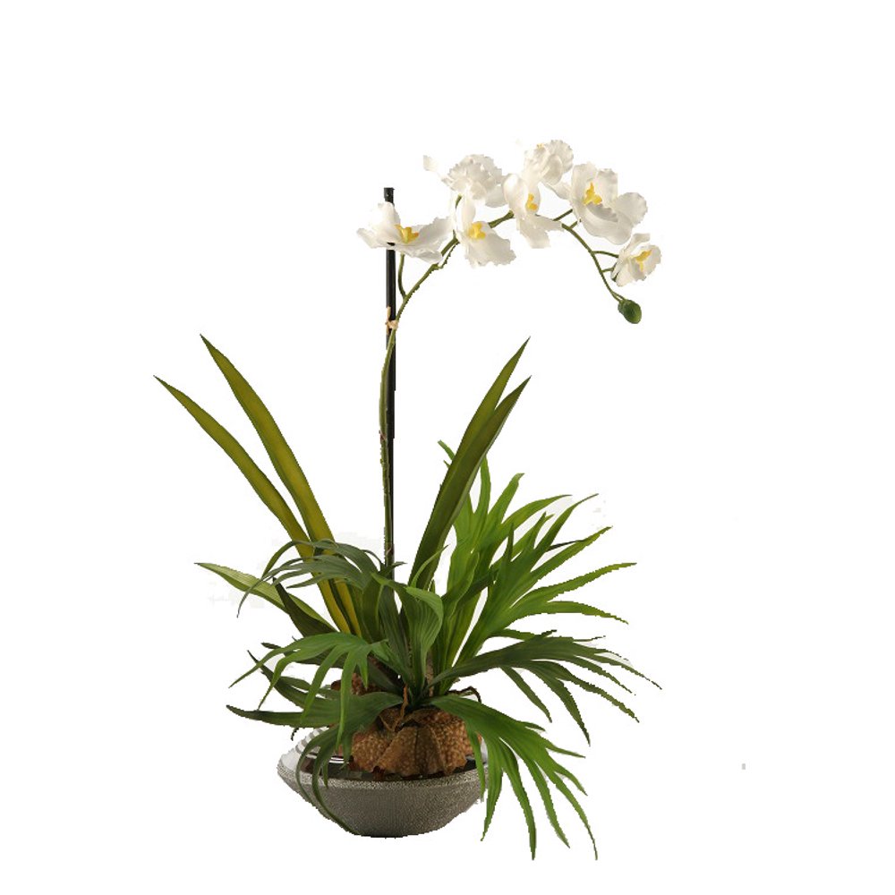 D&W Silks Mini Staghorn fern With Cream Vanda Orchid in Silver and Gun