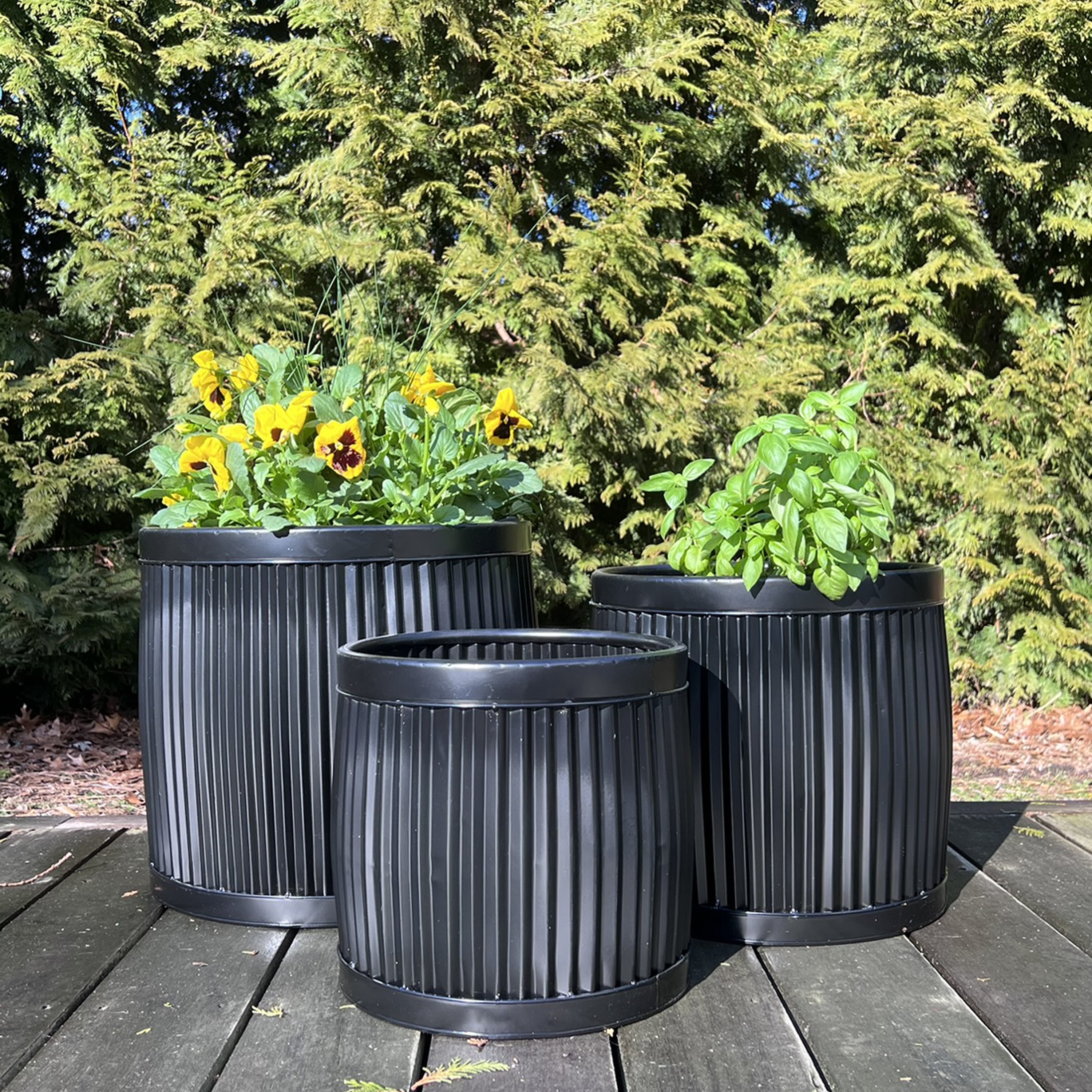 WHW Whole House Worlds Large Capacity French Country Style Belly Bucket Planters, Round, Set of 3, Galvanized Metal, Black, Corrugated Cache Pots, Rustic