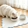 thumbnail image 6 of Wyihui Dog Food Mat, Absorbent Quick Dry Pet Bowl Mat with Non Slip Rubber Backing, Washable Floor Mat, 6 of 8