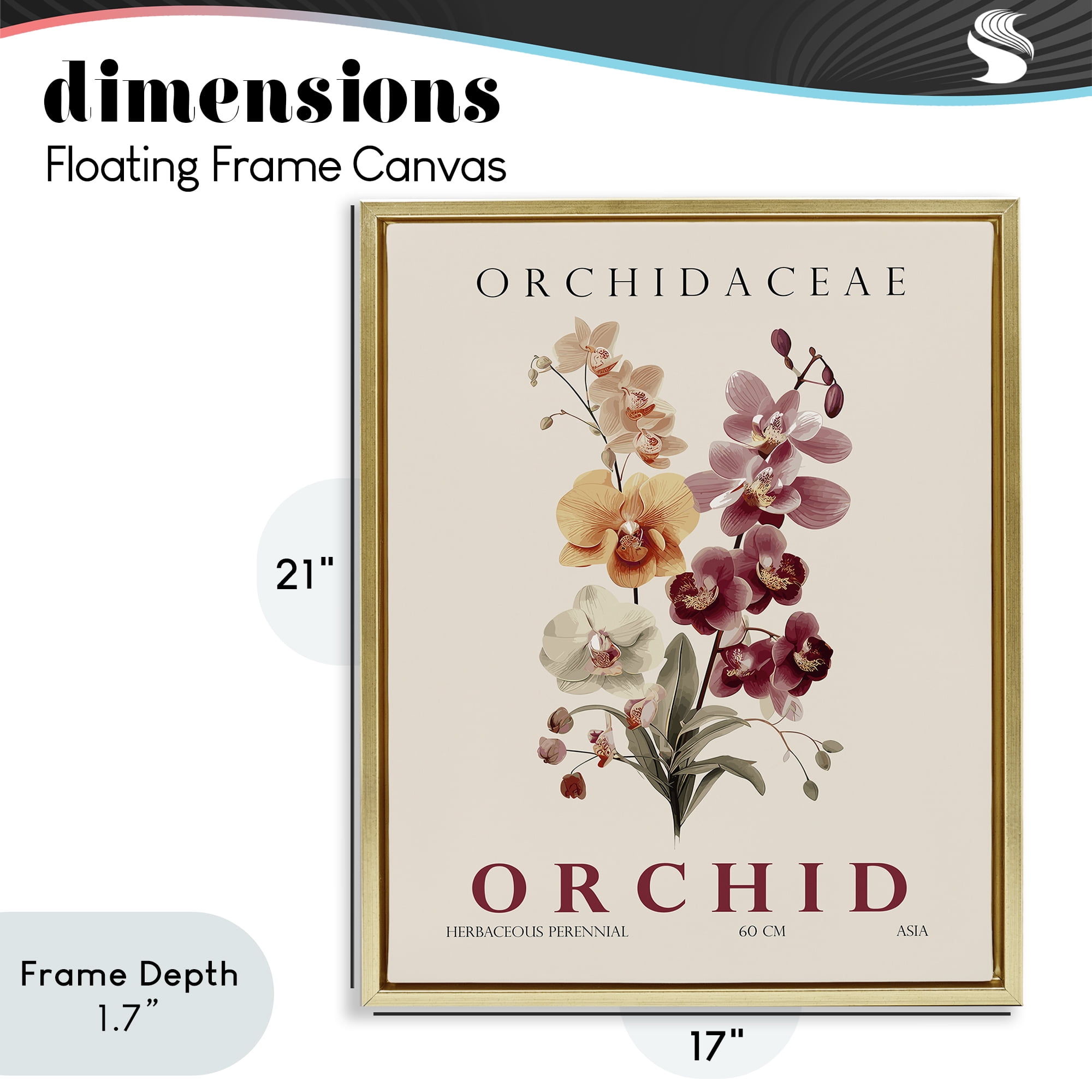 Stupell Industries Natural Orchid Bundle Gold Framed Floater Canvas Wall Art, design by Christopher Giampietro