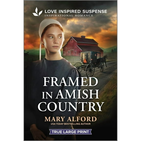 Framed in Amish Country, (Paperback)