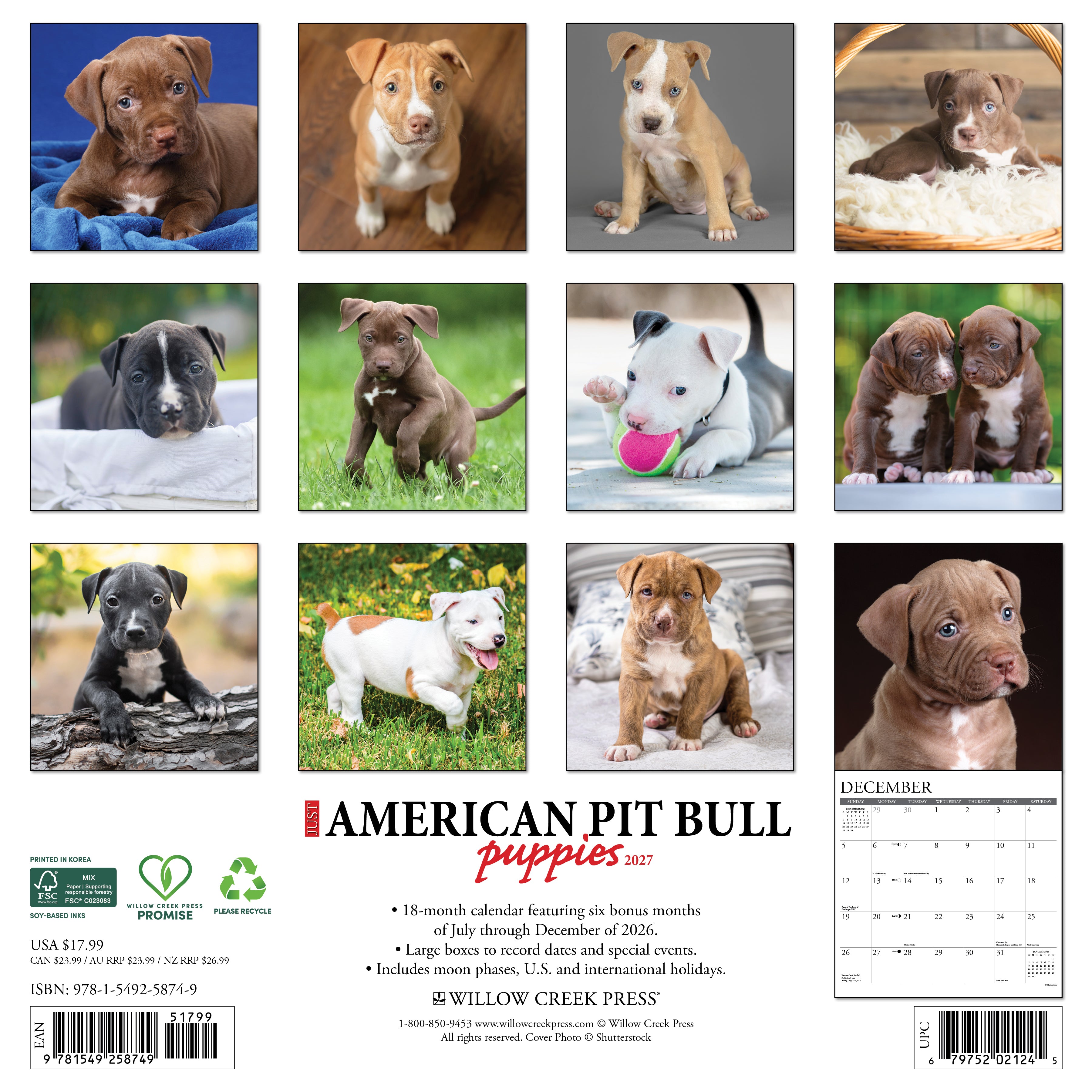 Willow Creek Press, American Pit Bull Terrier Puppies 2027 Wall Calendar