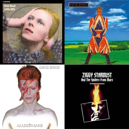 Hunky Dory (2015 Remaster/50Th Anniv/Picture Disc) & Earthling (2021 Remaster/2LP) & Aladdin Sane & Ziggy Stardust & The Spiders From Mars Ost (2LP)