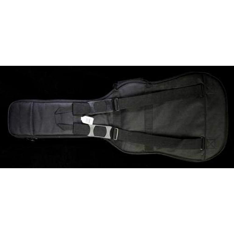 Levy's 2024 guitar case