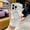 Pattern-D, variant on Flowers Floral Pattern Magnetic Case for iPhone 17, Matte Translucent Slim Cover Compatible with Magnetic Wireless Charging, Hybrid Shockproof Case for iPhone 17, Pattern-G