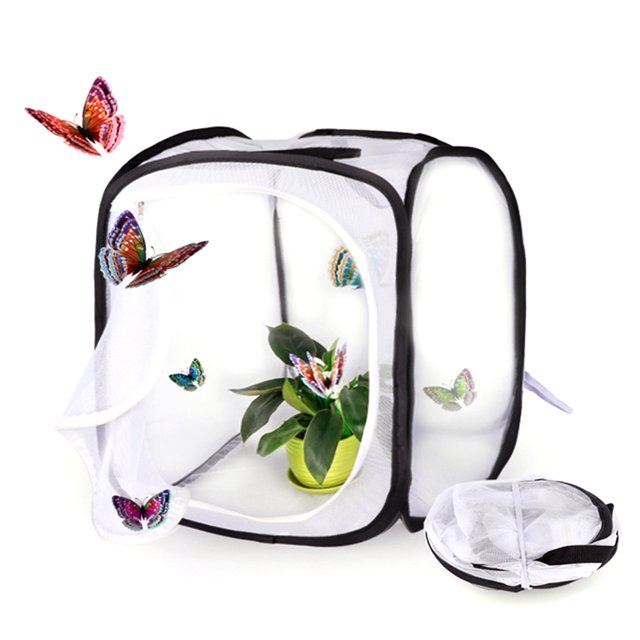 Jaula plegable con red para insectos, jaula portátil de observación de mariposas para verano, jaula para cría de hábitat de saltamontes y mariposas