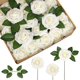 thumbnail image 1 of 50 rosas-blanco leche Ormromra WMZL-1963-10, 1 of 4