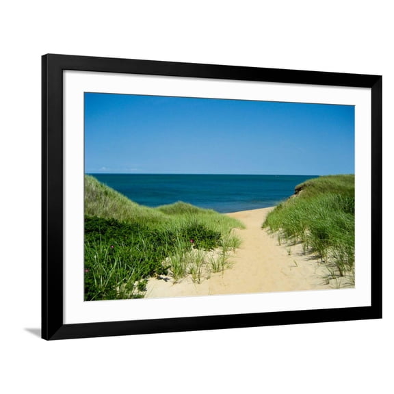 Art.com Nantucket Beach Dunes Photo Poster Art Print, Black Frame Wall Art, 44" x 32"