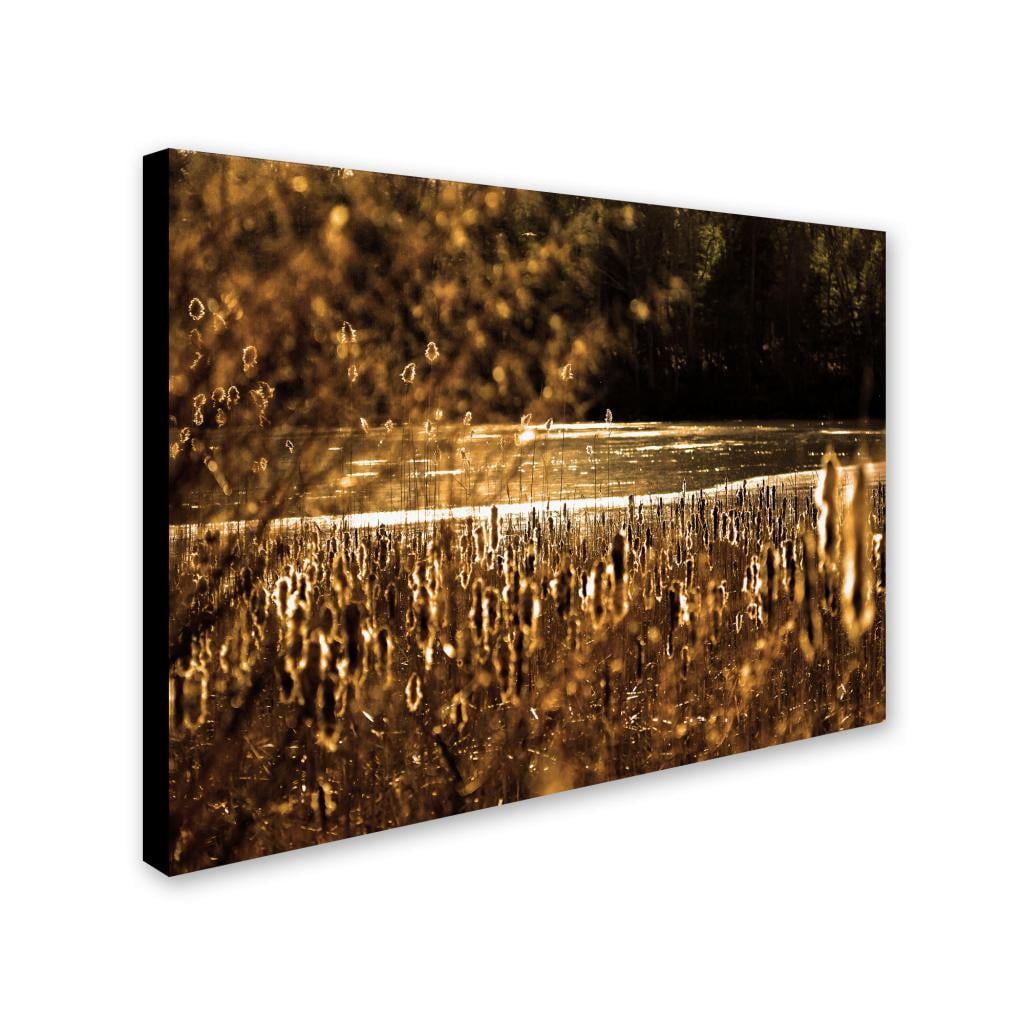 Trademark Fine Art "Boston 6" Canvas Art by CATeyes