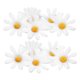 thumbnail image 5 of unbranded 100Ud Flores Margarita Artificiales Para De Jarrones Y Casa, 5 of 8