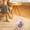 Pink, variant on Mini Desktop Heater - 500W Fast Heating, Safe Auto Shut-Off, Compact & Portable - Perfect for Winter Warmth, 1 Unit