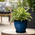 thumbnail image 3 of Maceta Ceramic Planters EPFamily de 15 cm con platillo, color azul, 3 of 6