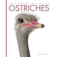 thumbnail image 1 of Ostriches (Amazing Animals), 1 of 2
