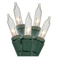 thumbnail image 1 of Vickerman W402611 Vickerman 50 Clear Twinkle Mini-Lights on Green Wire 23' Christmas Light Strand, 1 of 1