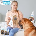 thumbnail image 4 of The Blissful Dog Chinese Shar-Pei Blissfully Fresh Face Wash for Cleaning Tear Stains, Flat-Faces, Beards, Ear Fringes, Jowls and More I Alcohol & Irritation Free I 4-Ounce Spray Bottle, 4 of 10