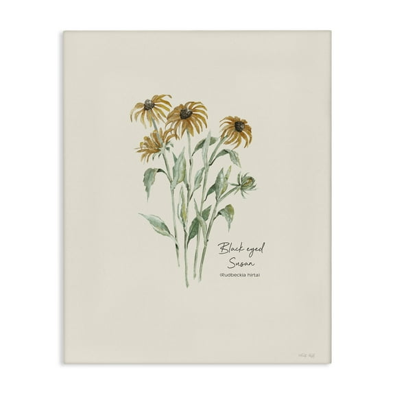 Stupell Industries Black Eyed Susans Botanical & Floral Painting Gallery Wrapped Canvas Art Print Wall Art, 16 x 20