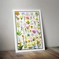 thumbnail image 4 of Ohio Wildflowers Poster - Native Prairie Blooms - Educational Science Chart of Ohio Flowers, 4 of 5