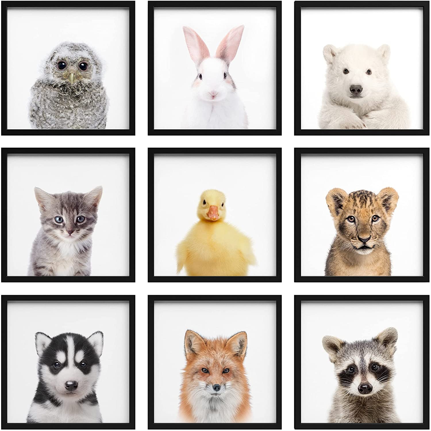 PixonSign Wall Art Collage Gallery Print Frame Set Baby Forest Animal ...
