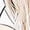#10_Multicolor, variant on Save On Womens Plus Size Tops Basic Summer Shirts Short Sleeve V Neck Tunics T-Shirt Loose Floral Print Tee Shirts Holiday Blouse