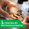thumbnail image 4 of STEM for Ants, Roaches and Spiders: Plant-Based Active Ingredient, Botanical Spray for Indoor and Outdoor Use; 10 oz (Pack of 3), 4 of 9