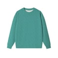 thumbnail image 4 of Chandails d'Automne pour Femmes Élégants Manches Longues Col Rond Confortable Ample Grande Taille Vert Menthe TTG, 4 of 4