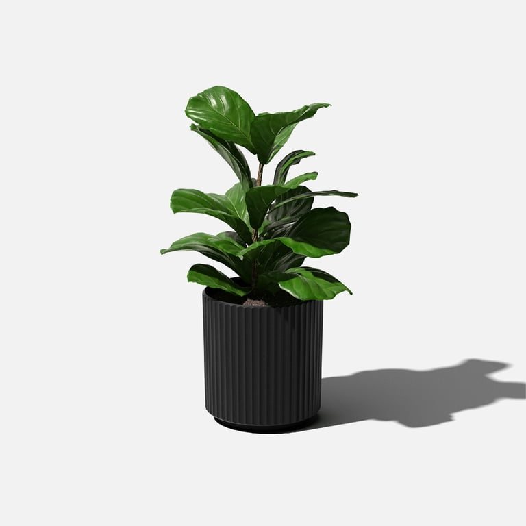 Sunside by Veradek Ripple 12' Planter Black - Walmart.com