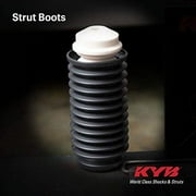 Shocks & Struts Oem