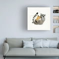 thumbnail image 3 of Victoria Barnes 'Rascally Raccoon II' Canvas Art, 3 of 3