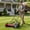 Red, variant on 18 Inch Push Reel Lawn Mower with 5 Manganese Steel Blades, 4-Position Cutting Height, Removable Grass Catcher, Manual Walk-Behind Mower with 10" Wheels for Garden Yard Lawn Care Green