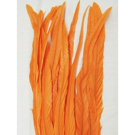 Coque Rooster Tail Feathers 14-16 inches Orange per half ounce (14 grams)