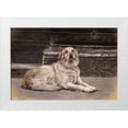 thumbnail image 1 of Harrison, Lesley 14x11 White Modern Wood Framed Museum Art Print Titled - The Red Leash, 1 of 4