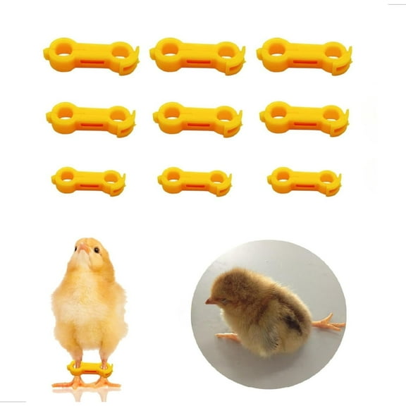 Baby Chick Leg Hobbles 9PCS Spraddle Leg Repair  for Newly Hatched Chick/Birds  (3 size)