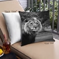 thumbnail image 1 of Ahgly Company Animals Lion Outdoor Throw Pillow, 18 inch by 18 inch, 1 of 6