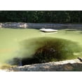 thumbnail image 4 of Crystal Blue Lake and Pond Dye Water Soluble Pack - Royal Blue Color - 1/4 Acre Packet, 4 of 4