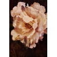 thumbnail image 2 of Murdock, Ramona 13x18 Black Ornate Wood Framed with Double Matting Museum Art Print Titled - White Beauty, 2 of 4