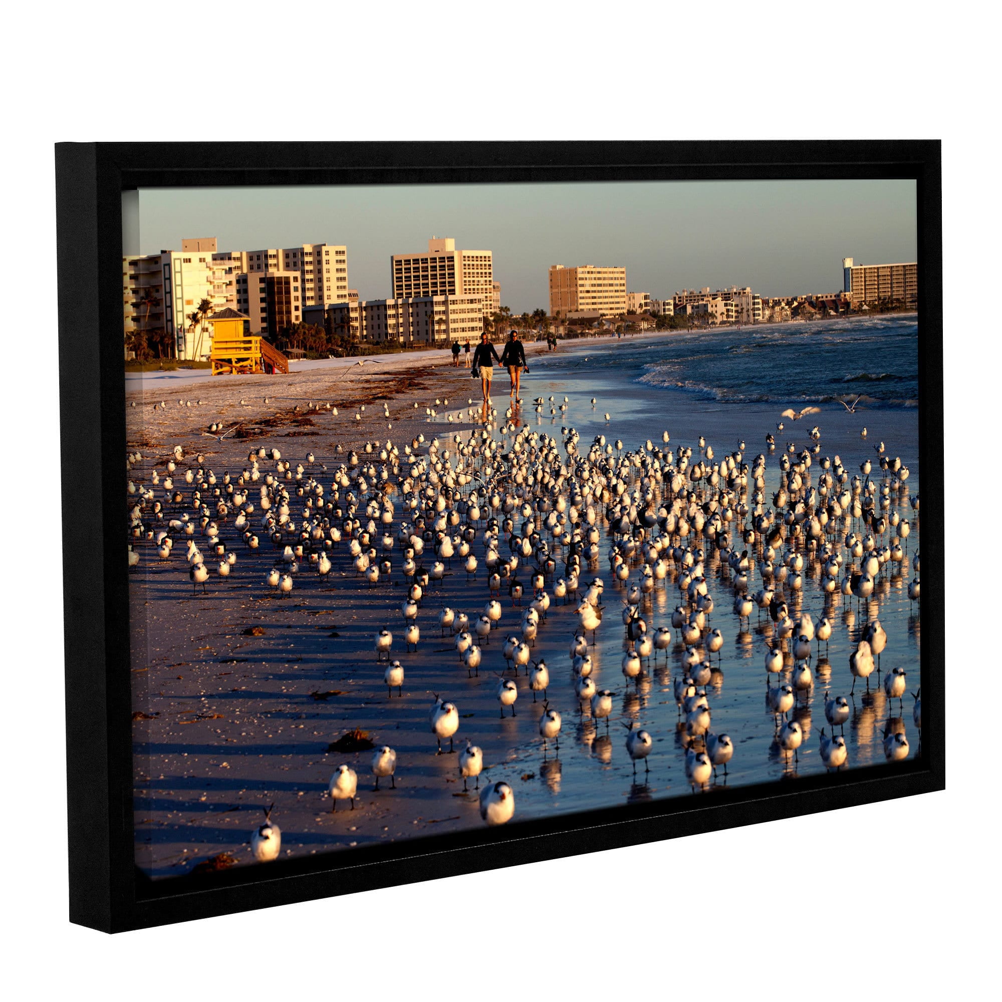 ArtWall Lindsey Janich "Seagulls" Gallery-Wrapped Floater-Framed Canvas