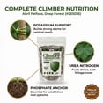 thumbnail image 6 of Old Cobblers Farm™ Wicked Growth Climbers & Vines Fertilizer – Helps Fast-Growing Vines and Climbers Reach New Heights with Colorful Blooms (5 lbs | 10 lbs | 15 lbs | 20 lbs) (5lbs), 6 of 12